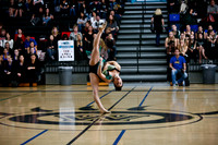 Westview Competition 1-28-12