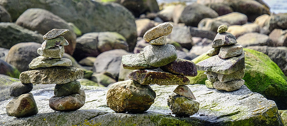 DSCF6571