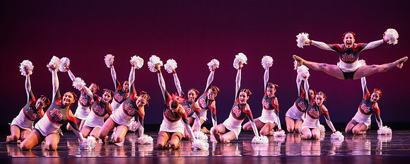 933A3096