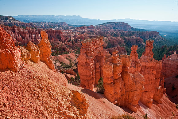 Hoodoos from the Navajo Trail, Bryce Canyon