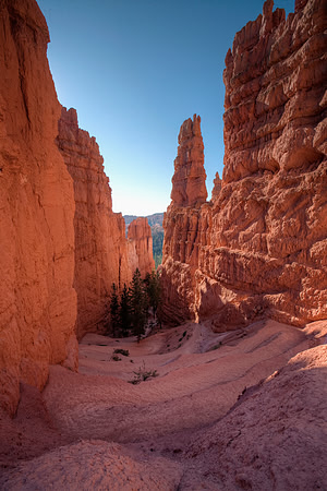 Navajo Trail, Bryce Canyon
