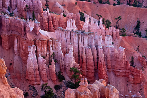 Hoodoos at Dawn, Sunset Point, Bryce Canyon