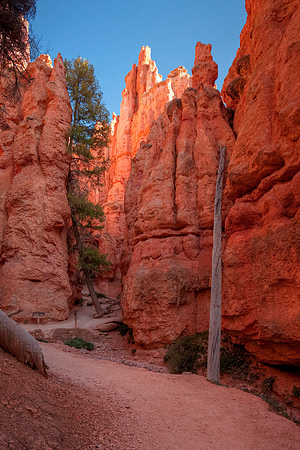 Navajo Trail, Bryce Canyon