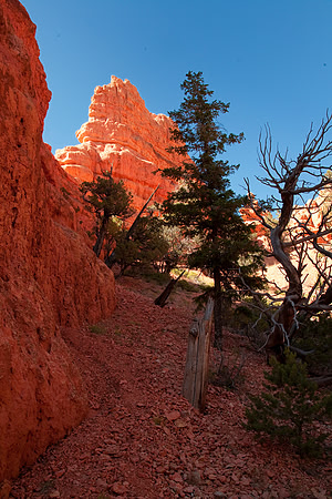Red Canyon