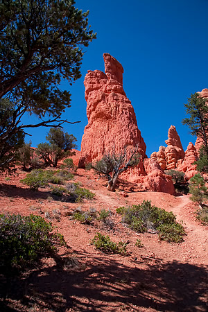 Red Canyon