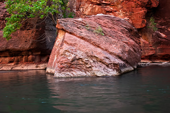 Virgin River Detail, Zion NP