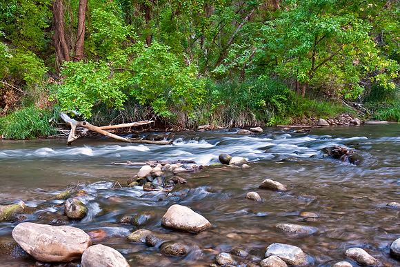 Virgin River Detail, Zion NP
