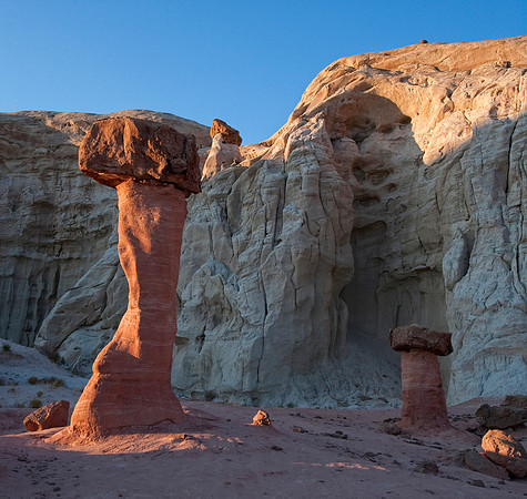 Toadstool Hoodoo