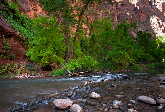 Virgin River Detail, Zion NP