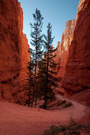 Navajo Trail, Bryce Canyon