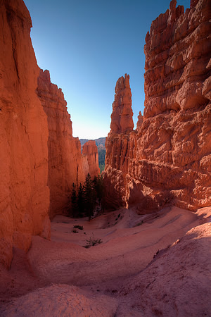 Wall Street, Navajo Trail, Bryce Canyon
