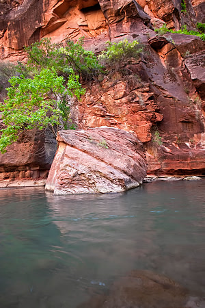 Virgin River Detail, Zion NP