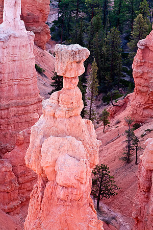 Hoodoo Detail, Sunset Point, Bryce Canyon