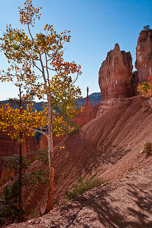 Navajo Trail, Bryce Canyon