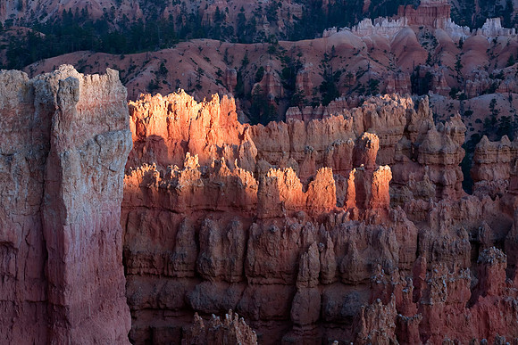 Last Rays, Sunset Point, Bryce Canyon