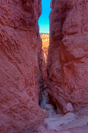 Into the Depths, Navajo Trail, Bryce Canyon