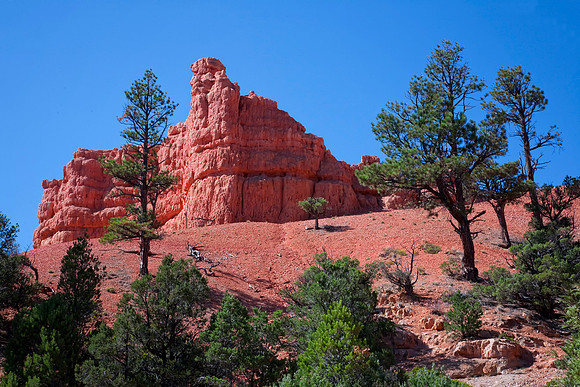 Red Canyon