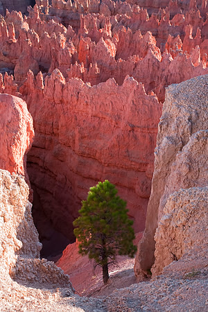 Sunset Point, Bryce Canyon