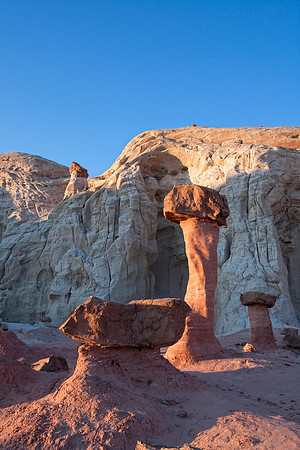 Toadstool Hoodoo