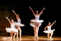 2017 Soloiste Performance