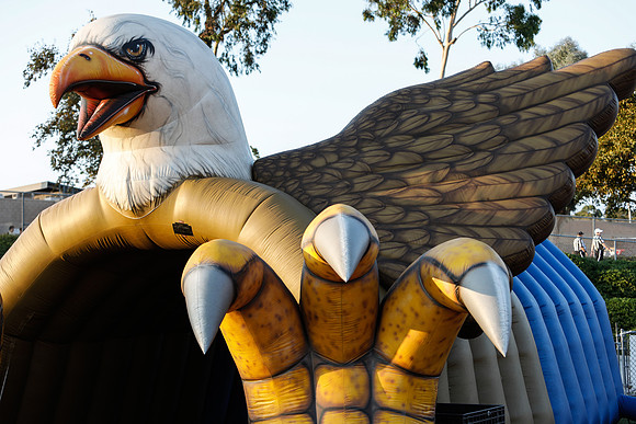_W6A4390