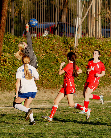 _MG_6893
