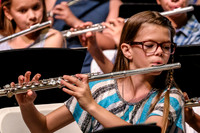 2017 CUSD Elementary Honors Concert 4-29-17