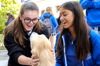 Therapy Dogs at SMCHS 5-29-18