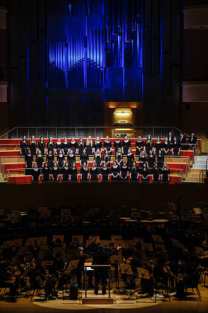 DXT31348
