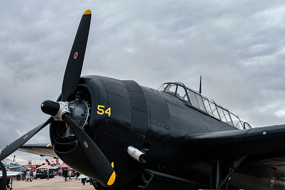 _DSF1202