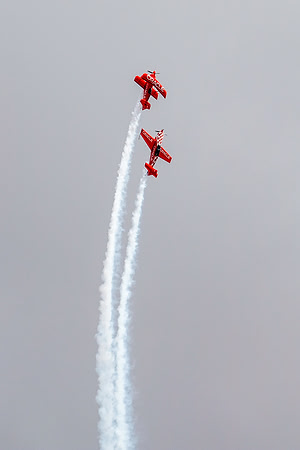 _DSF2421