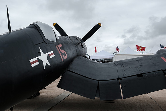 _DSF1198