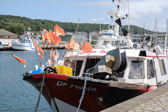 DXT55011