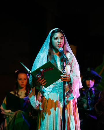 2011 Christmas Show 059