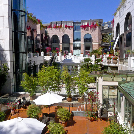 Rodeo Drive-7