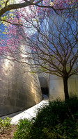 Walt Disney Concert Hall