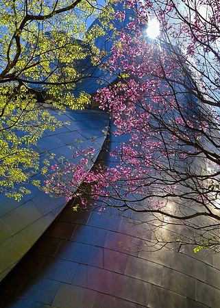Walt Disney Concert Hall