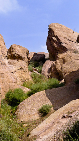 Vasquez Rocks-4