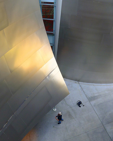 Walt Disney Concert Hall