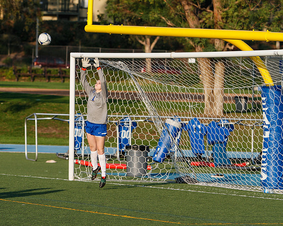 _MG_4322