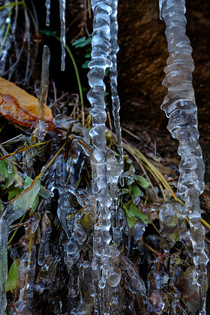 DSCF2267