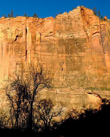 DSCF2306