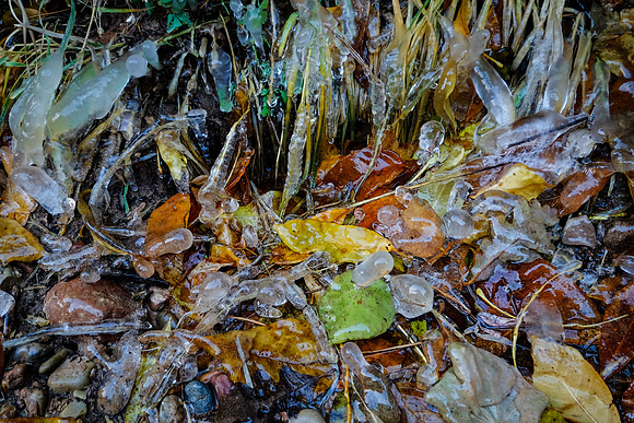 DSCF2265