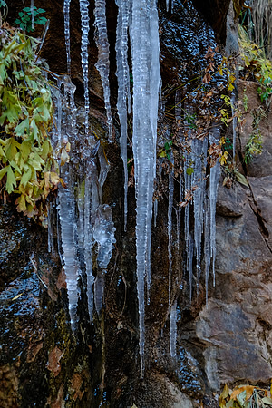 DSCF2268
