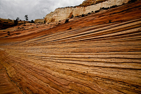 Striated Sandstone, Backcountry Zion