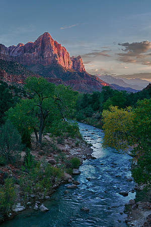 The Watchman