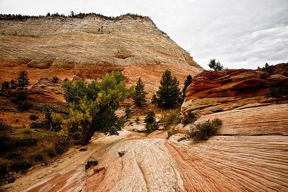 Checkerboard Mesa