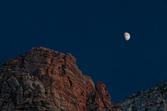 Zion Moonrise