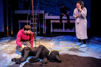 "The Curious Incident of the Dog in the Night-Time - May 4, 2023