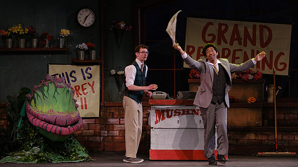 DXT37941